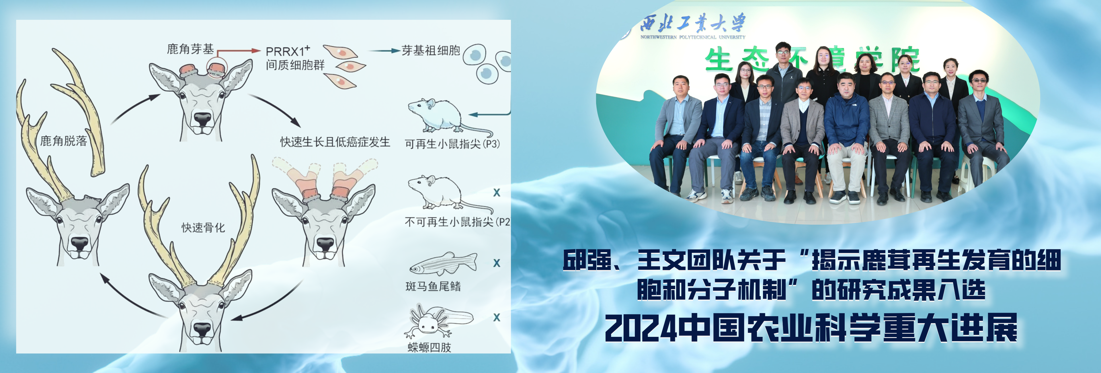 亚洲色吧 — free download
